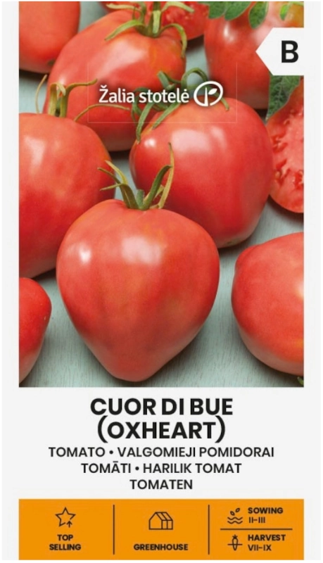 Pomidor Oxheart Cuor di Bue odmiana o dużych czerwonych owocach typu bawole serce nasiona 0,1 g Žalia stotelė sklep rajogrodnika